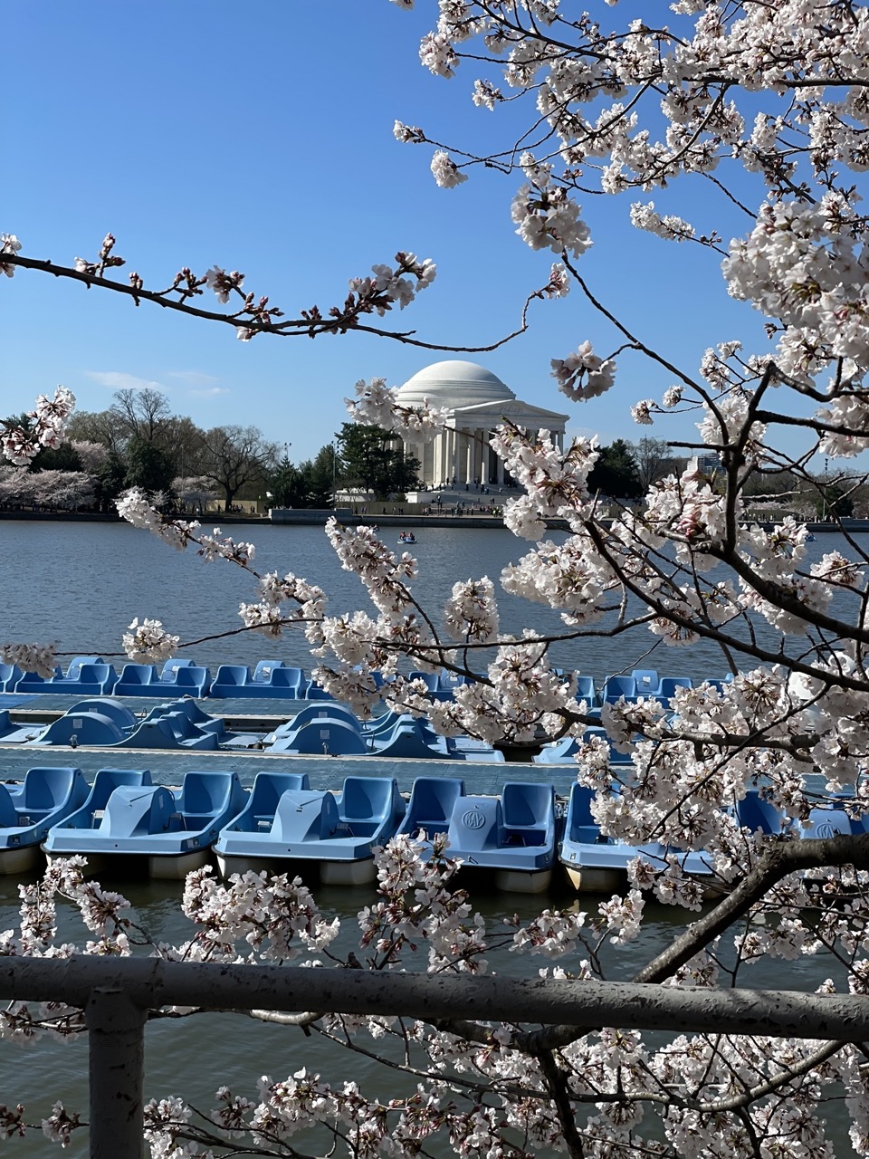 Memorial and water boats through cherry blossoms